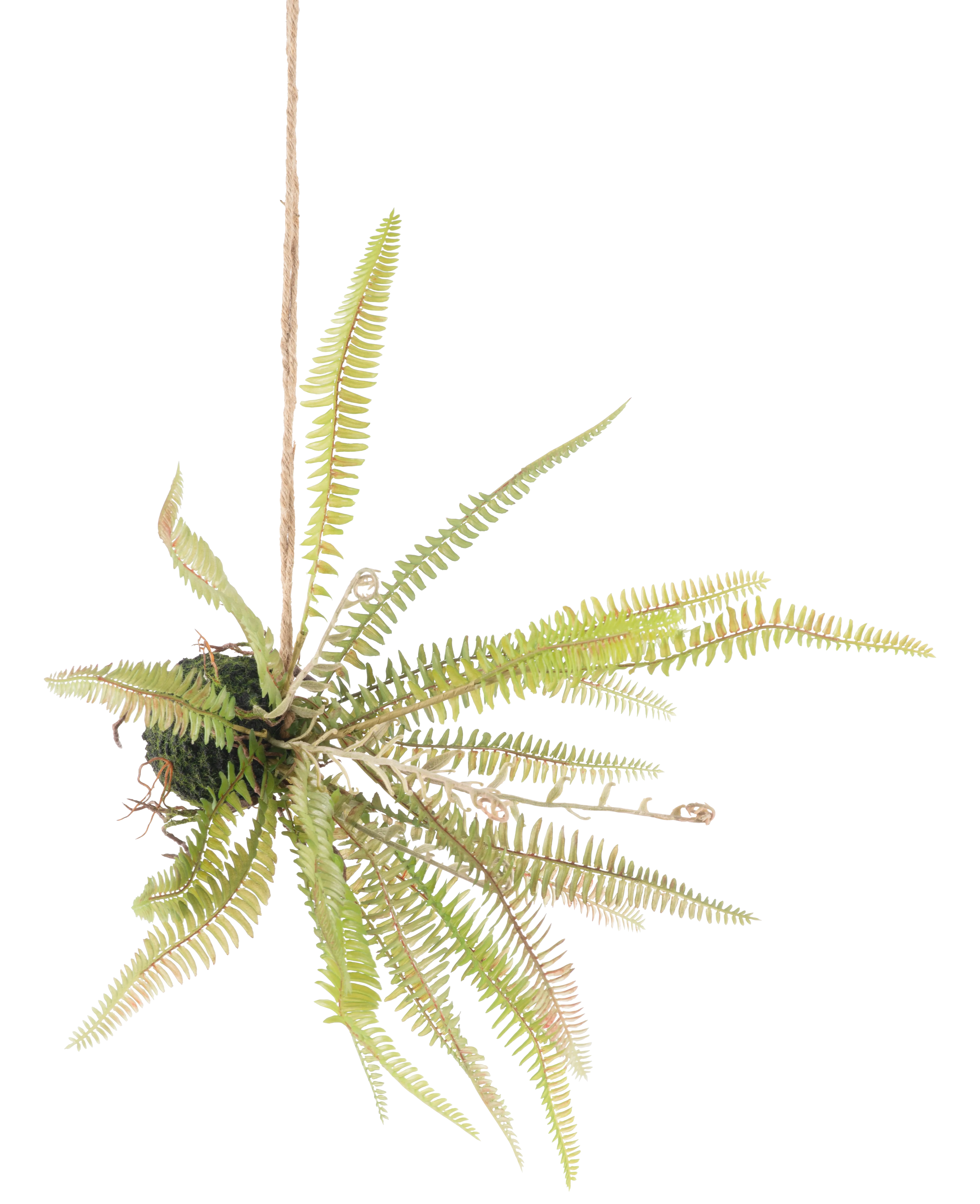 Vorschaubild 1